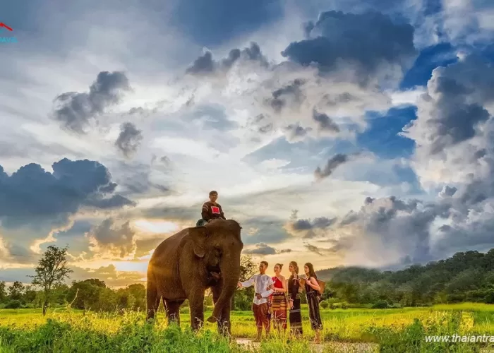 Khu du lịch Buôn Đôn - Thái An Travel