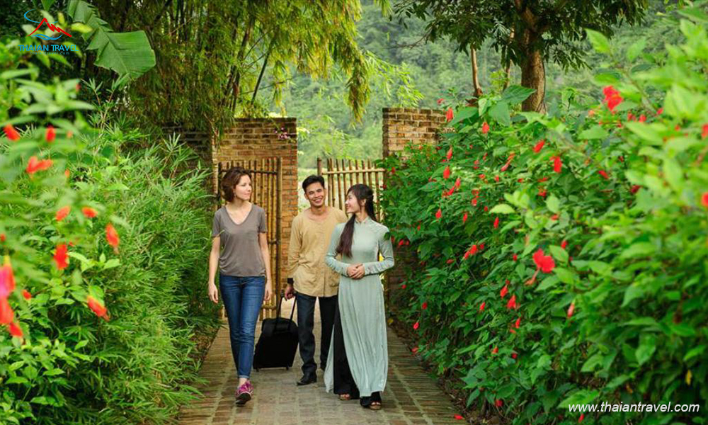 Resort đẹp nhất Ninh Bình - Thái An Travel 13