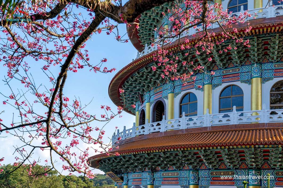 TOP địa điểm du lịch Đài Loan mùa hoa anh đào - Thái An Travel - 12