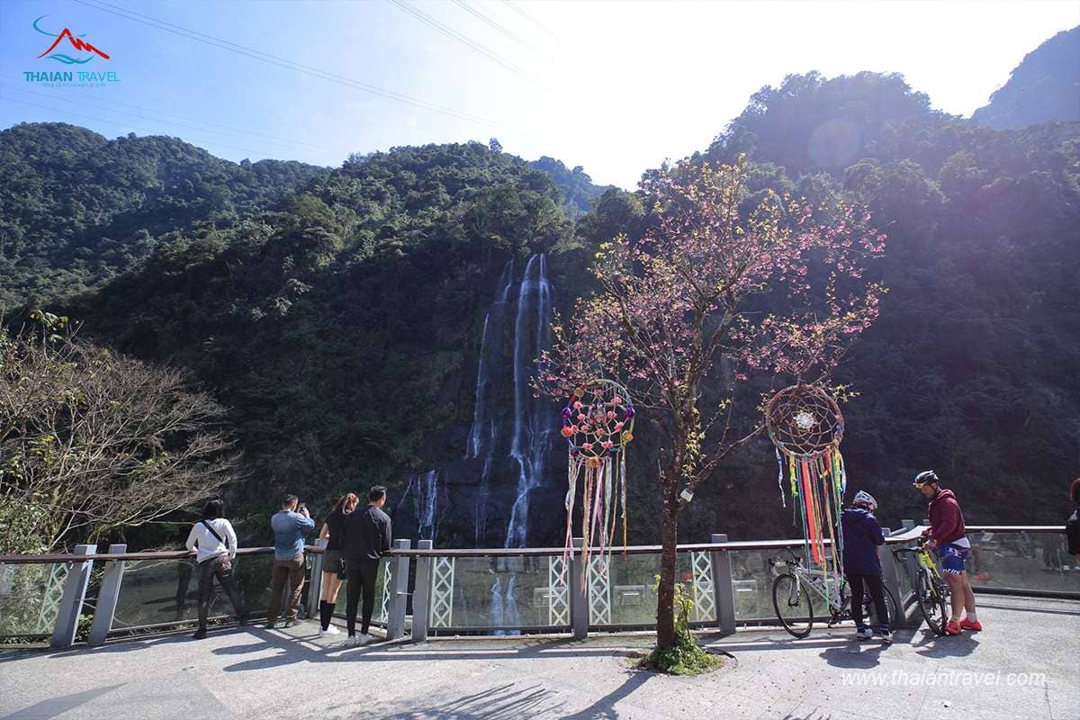 Địa điểm ngắm hoa anh đào tại Đài Loan - Thái An Travel - 10