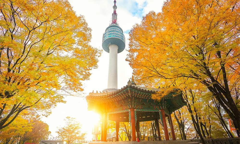 TUYT Kinh nghiệm du lịch Hàn Quốc