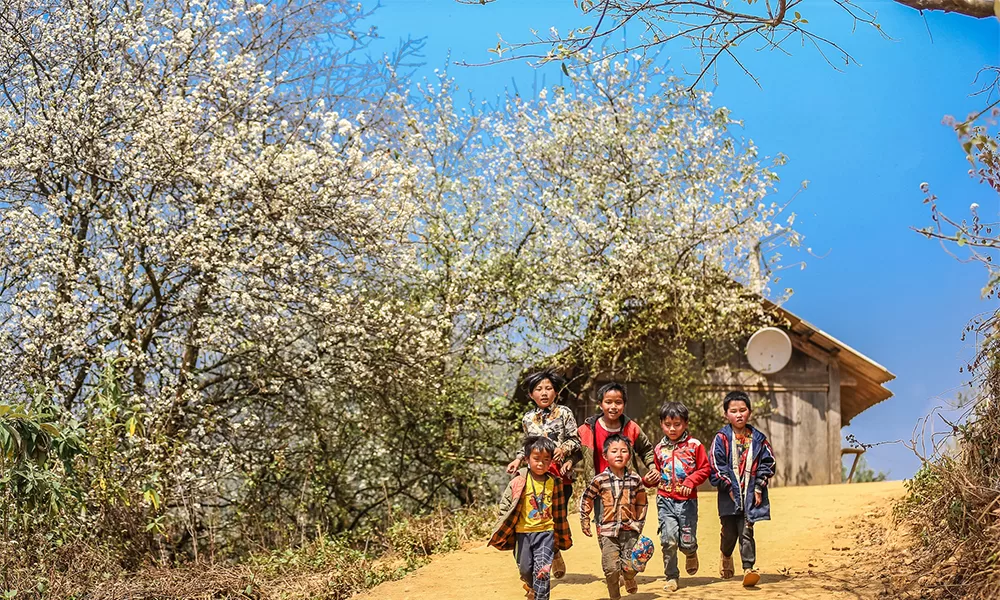 anh-dai-dien-mua-hoa-son-tra-tay-bac Mùa hoa sơn tra Tây Bắc - Thái An Travel