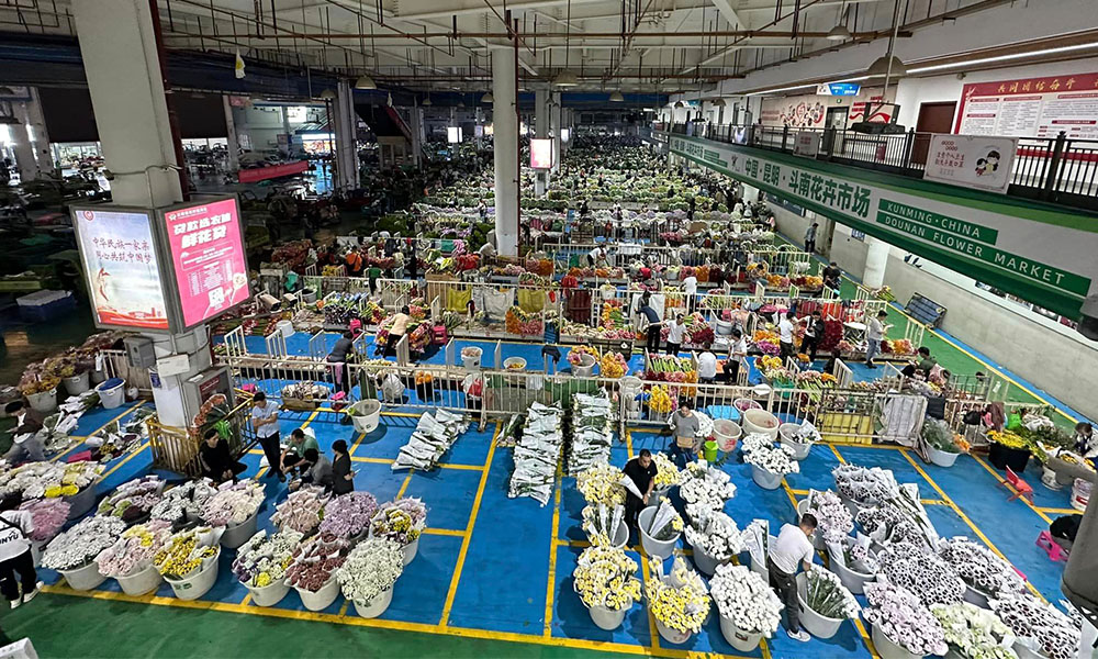 Chợ hoa Đấu Nam - Thái An Travel - 2