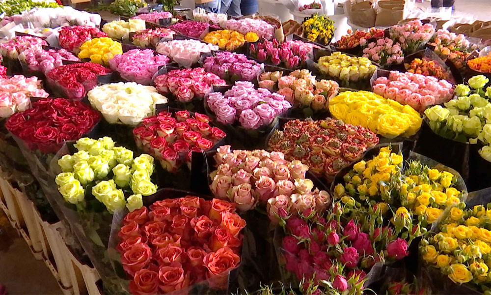 Chợ hoa Đấu Nam - Thái An Travel - 3