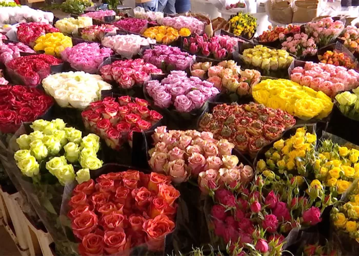 Chợ hoa Đấu Nam - Thái An Travel