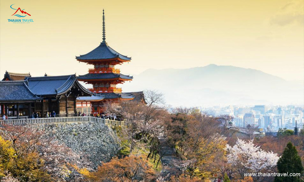 Tour Nhật Bản ngắm hoa anh đào - Thái An Travel