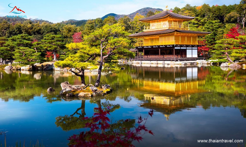 Tour Nhật Bản mùa hoa anh đào - Thái An Travel - Kinkaku-ji