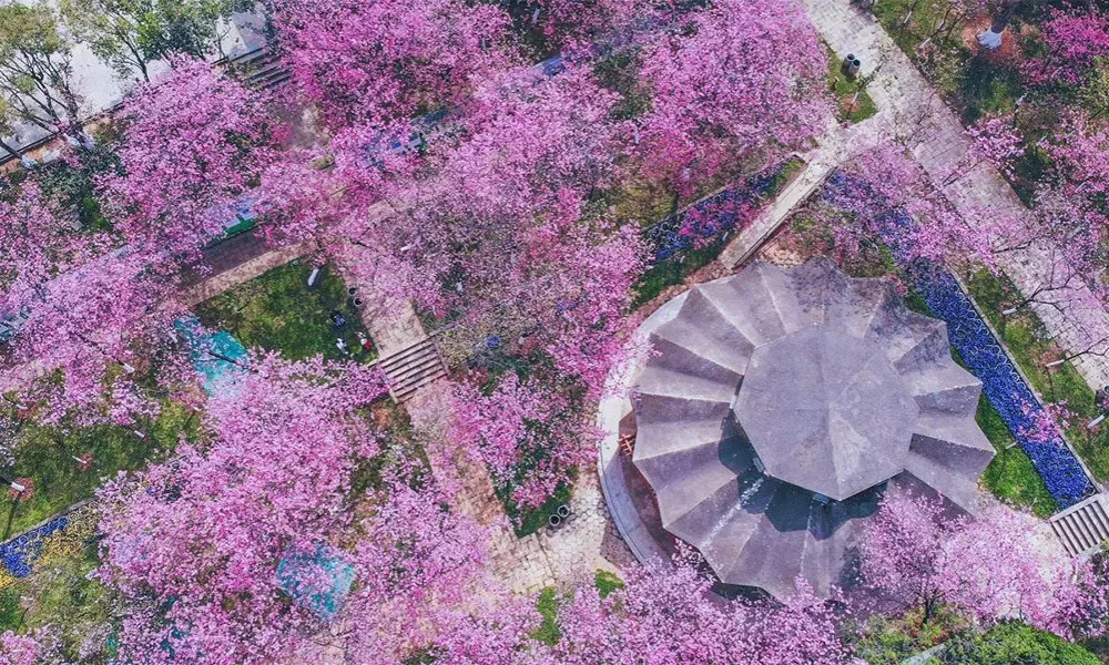 chua-vien-thong-son-1 Chùa Viên Thông Sơn - Thái An Travel