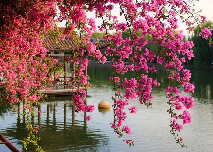 Hồ nước Green Lake Côn Minh - Thái An Travel