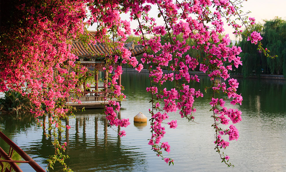 Công viên Thúy Hồ Côn Minh - Thái An Travel 