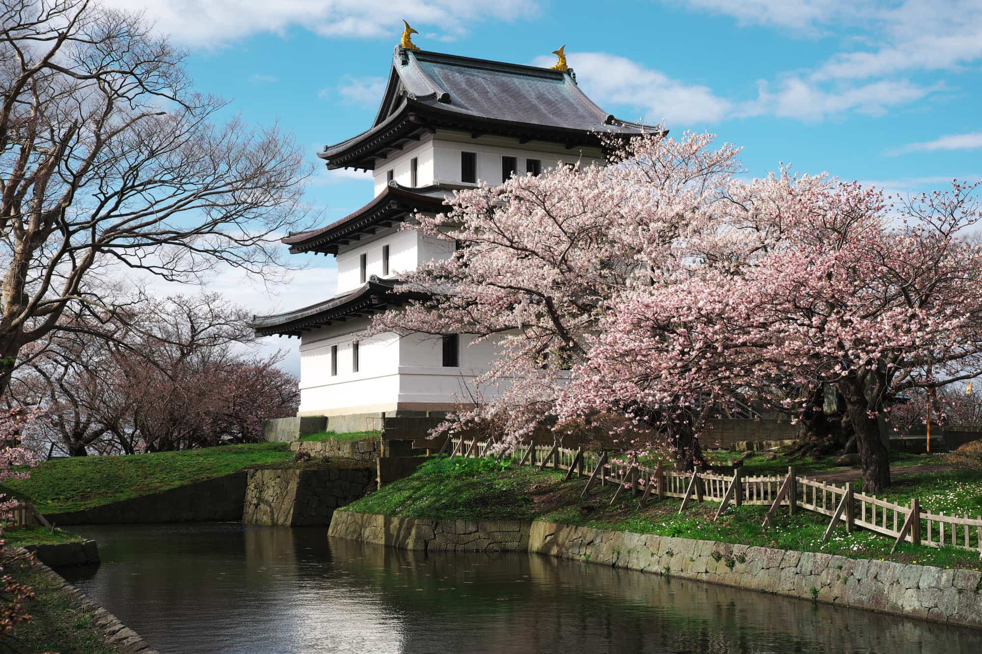 TOP các địa điểm ngắm hoa anh đào ở Nhật - Thái An Travel - 11