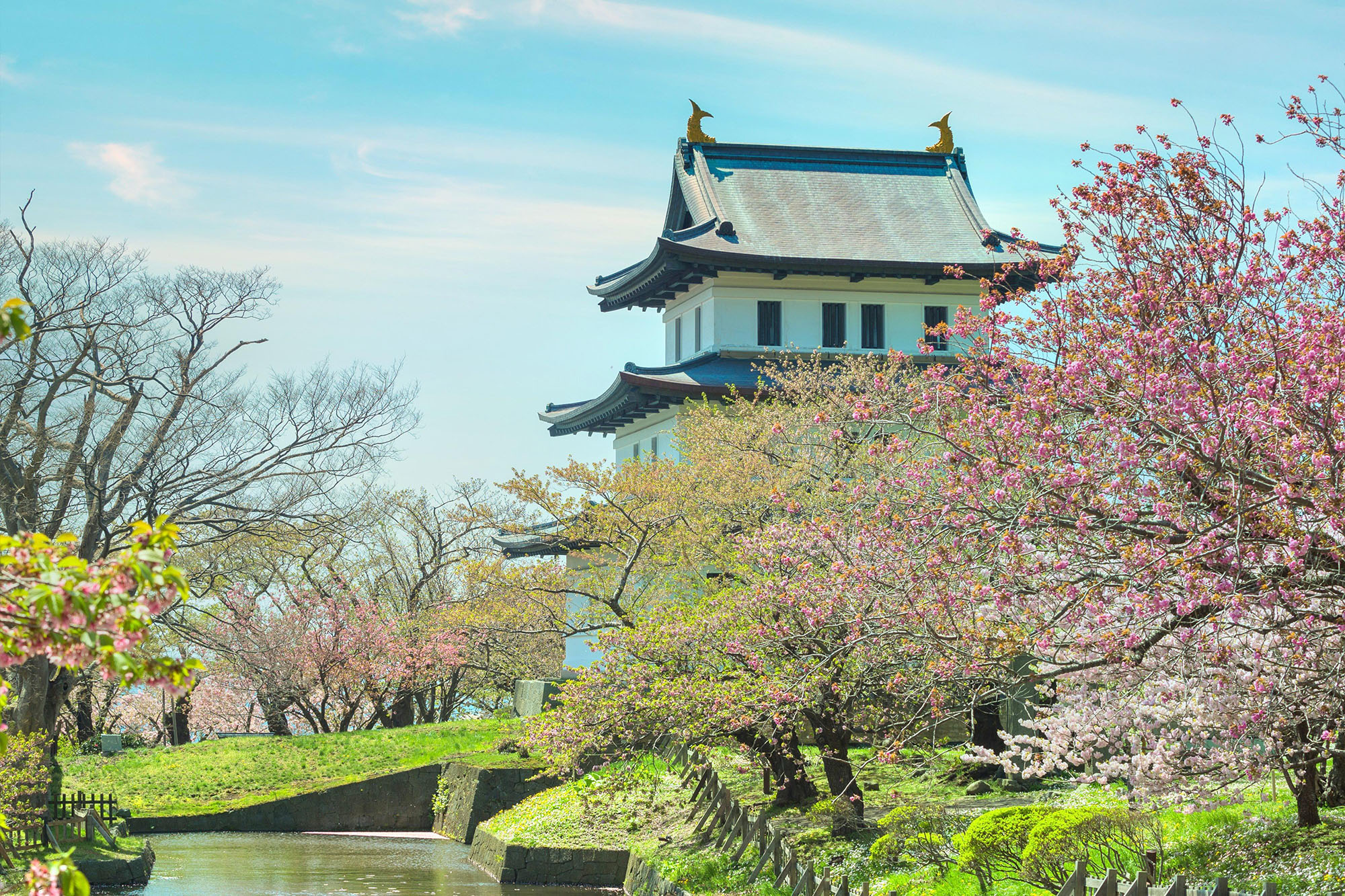 TOP các địa điểm ngắm hoa anh đào ở Nhật - Thái An Travel - 12