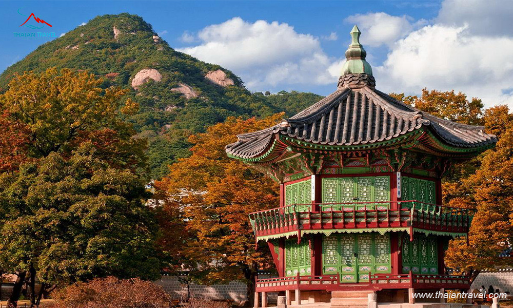 Du lịch Hàn Quốc mùa nào đẹp nhất? - Thái An Travel 15