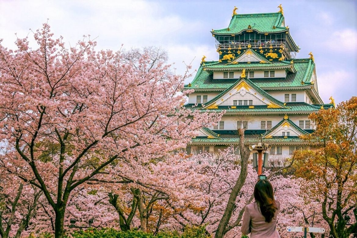 Cung đường vàng ngắm hoa anh đào Nhật Bản - Thái An Travel - 1
