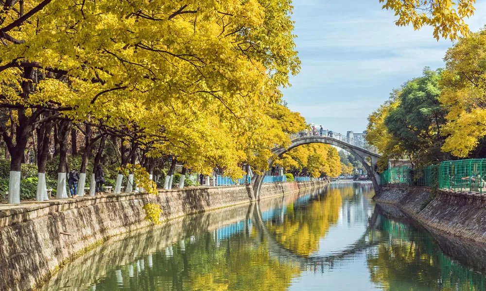 dfgf Du lịch Côn Minh mùa nào đẹp nhất - Thái An Travel