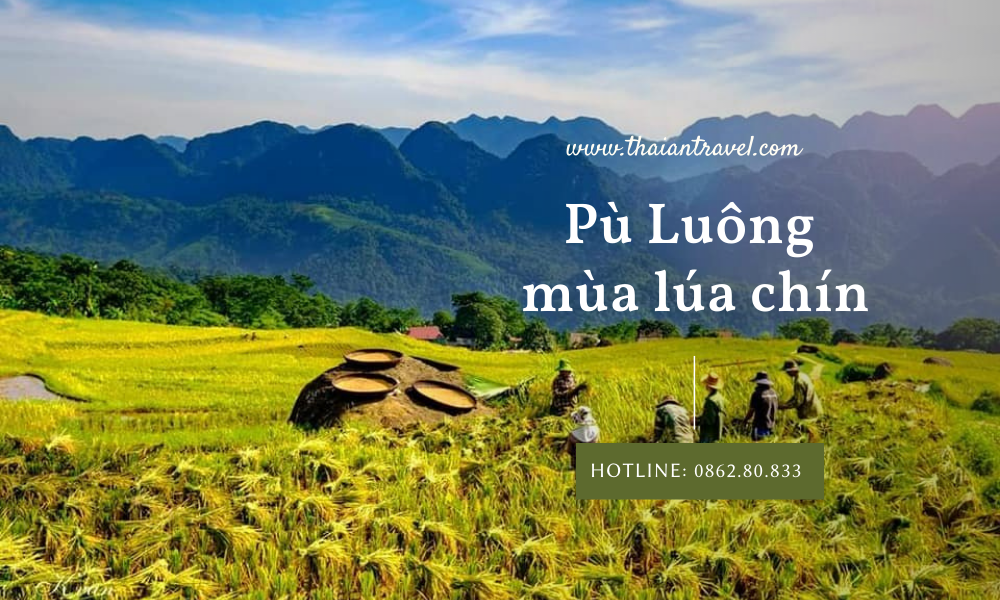 du-lich-cao-bang-2 Pù Luông mùa lúa chín - Thái An Travel