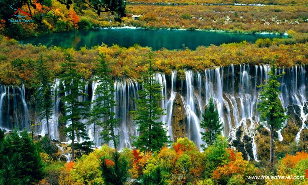 du-lich-cuu-trai-cau-trung-quoc-tran-trau-than-thaiantravel-1-5 Kinh nghiệm du lịch Trung Quốc - Thái An Travel