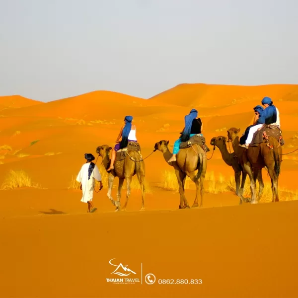 Tour Dubai 4 ngày 3 đêm khám phá vẻ đẹp sa mạc Safari
