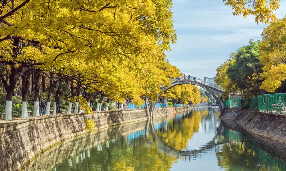 fghg Giá Tour Côn Minh - Thái An Travel