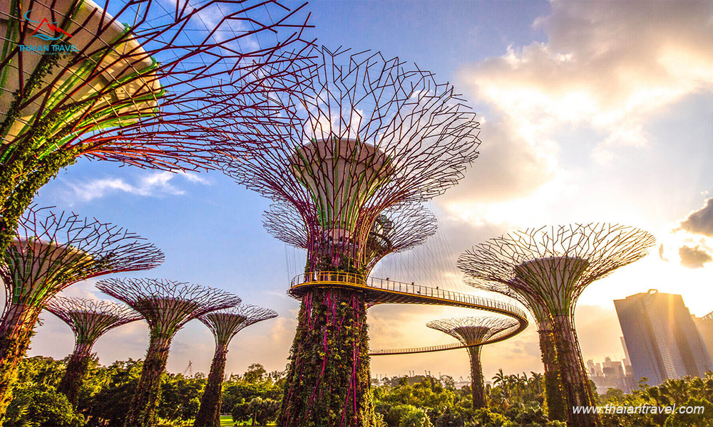 Tour tết Singapore - Malaysia 2023 - Thái An Travel - 7