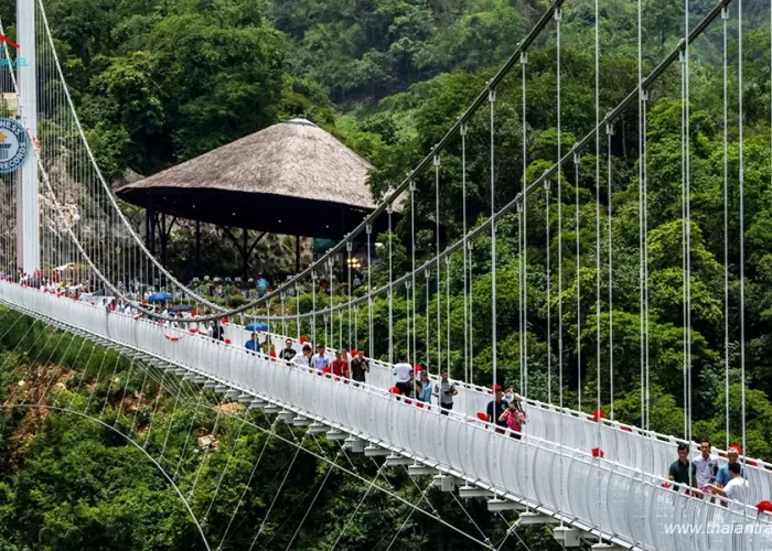 Cầu kính Bạch Long - Thái An Travel