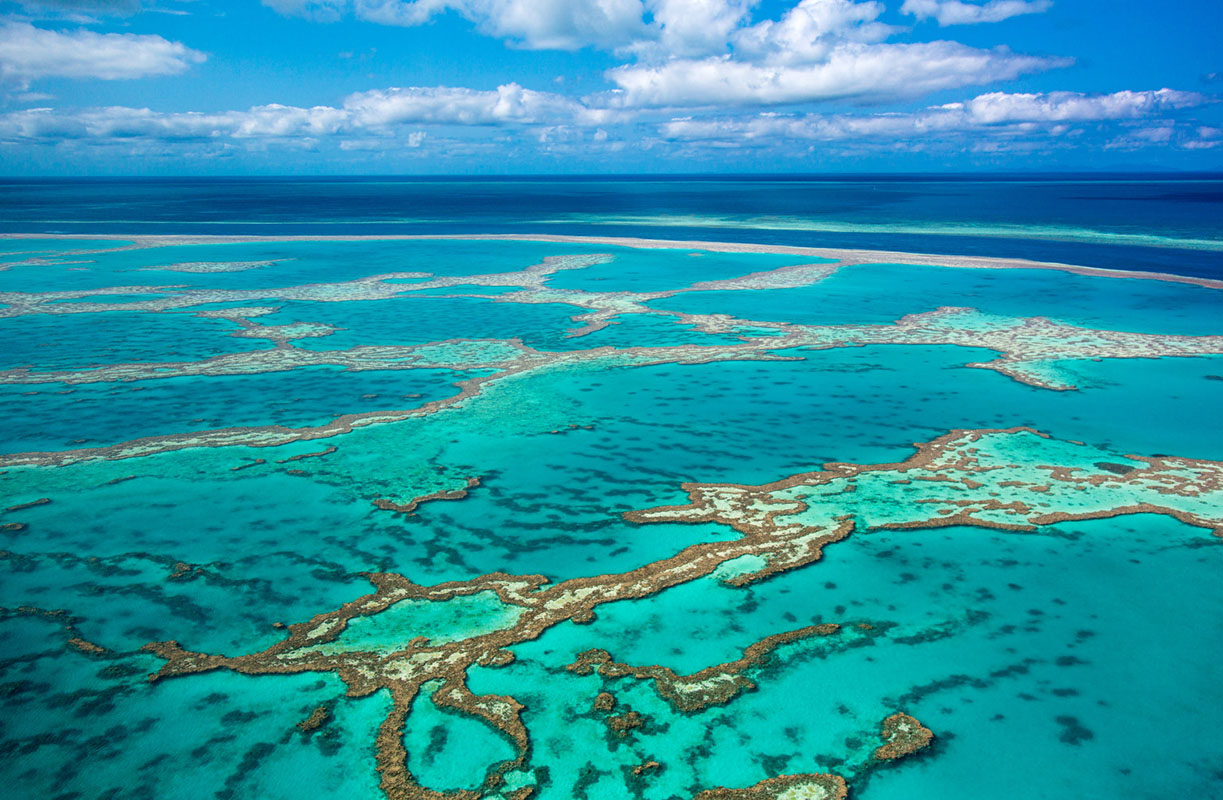 Kinh nghiệm du lịch Úc - Thái An Travel - Great Barrier Reef