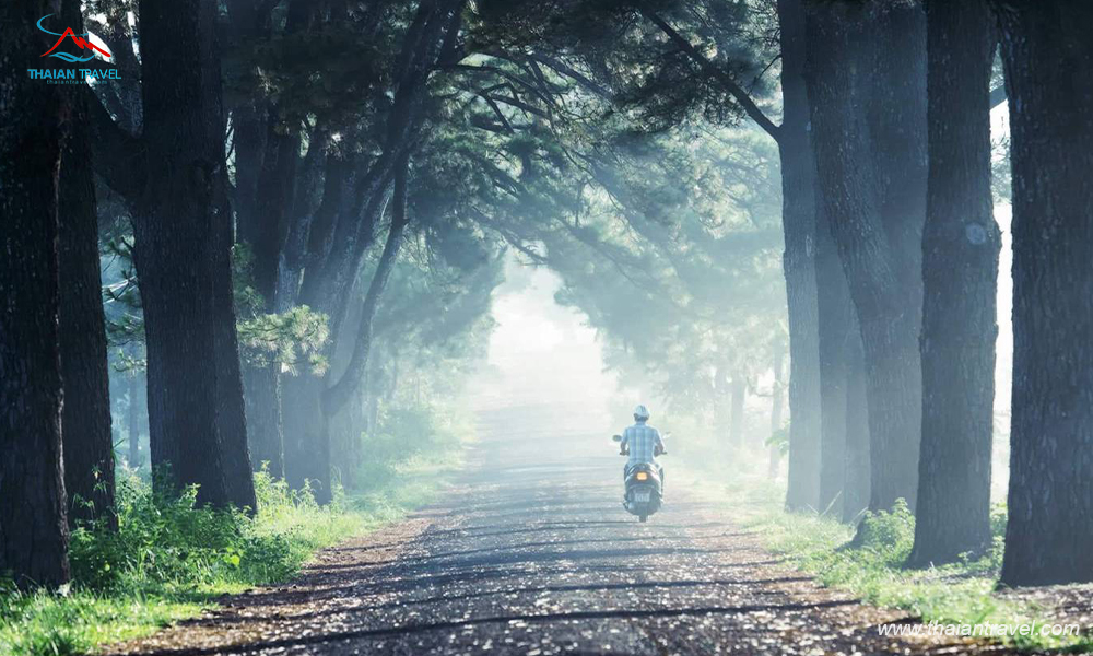 TOP 5 con đường ở Tây Nguyên - Thái An Travel 