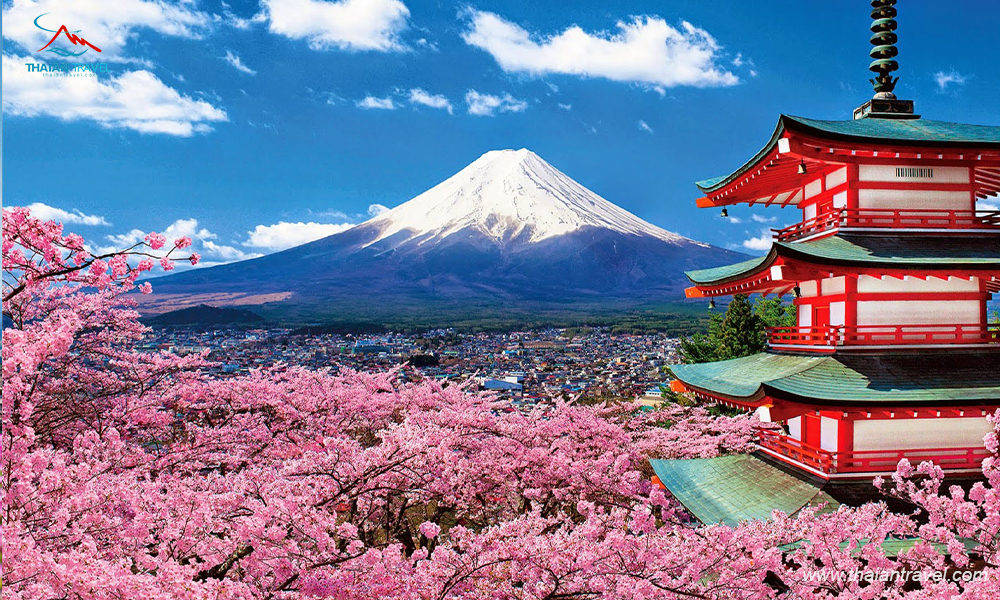 Tour Nhật Bản mùa hoa anh đào 2023 - Thái An Travel - Núi Phú Sĩ