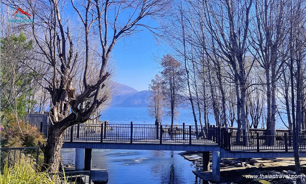 ho-nhi-hai-2-5 ho-nhi-hai-mot-trong-tu-dai-my-quan-cua-dai-ly