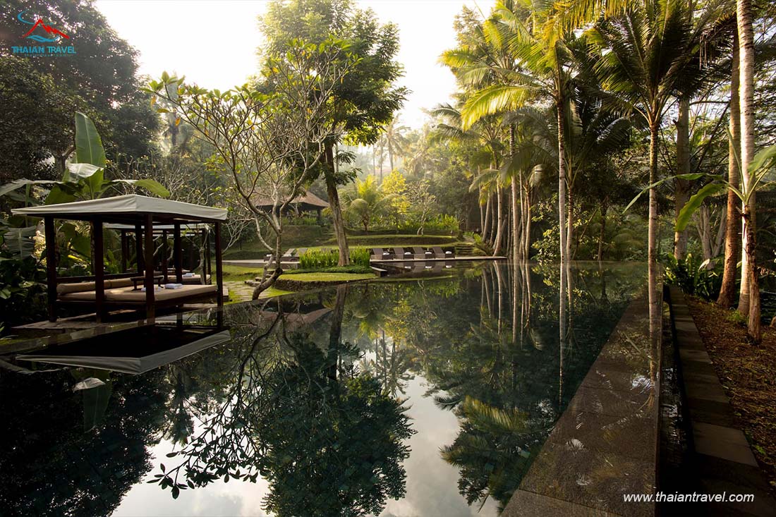 Du lịch Ubud, Villa khách sạn, resort đẹp nhất ở Ubud - Thái An Travel - 9