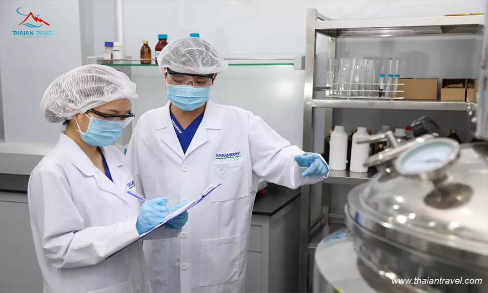 Khẩu trang Wakamono của Việt Nam