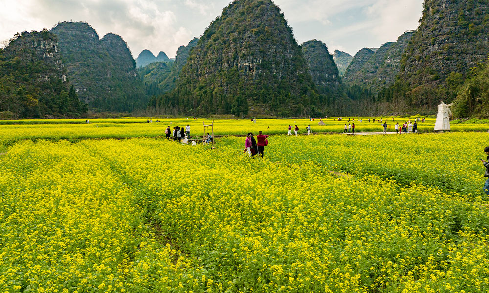 Du lịch Trung Quốc mùa xuân - Thái An Travel - 2