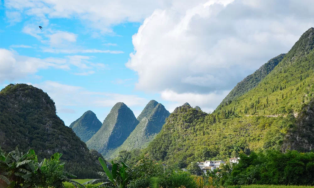 Khu du lịch Vạn Phong Lâm Quý Châu - Thái An Travel