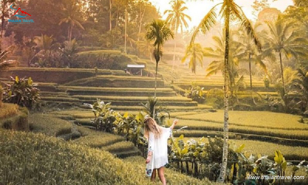 Hòn đảo nổi tiếng Indonesia - Thái An Travel - 2