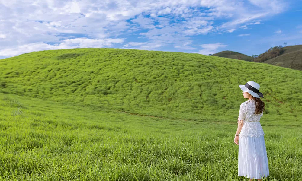 lpo’ Đồng cỏ Mộc Châu - Thái An Travel