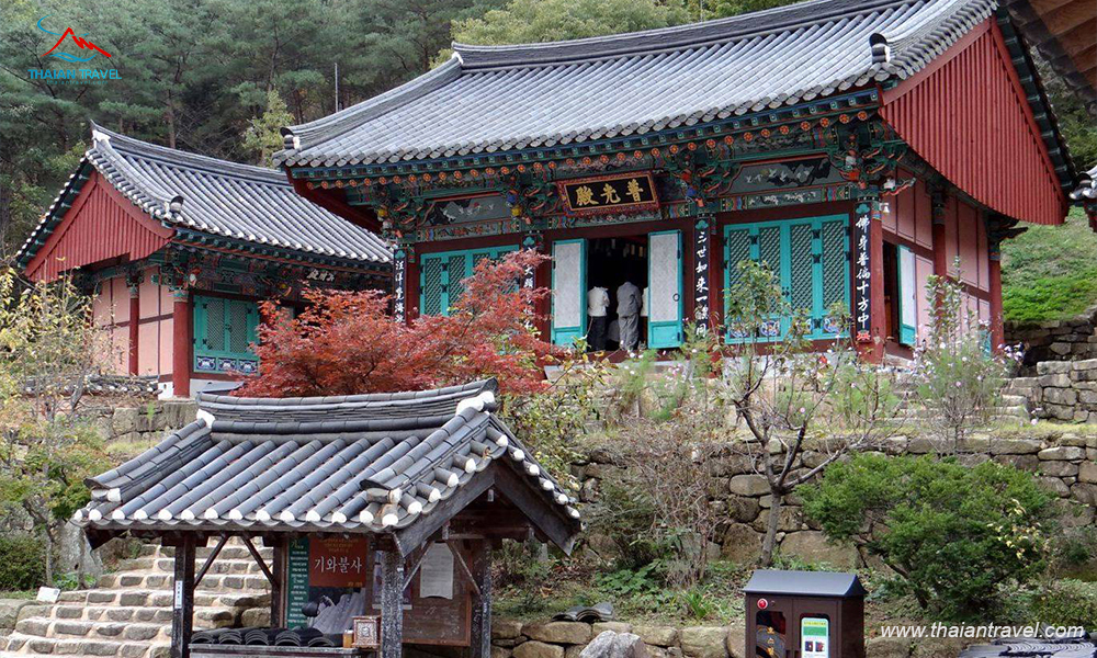 Tour SORAKSAN - INCHEON - SEOUL- INCHEON - NAMI - SKY PARK - KIM CHI SHOW 5N4Đ - Thái An Travel 2