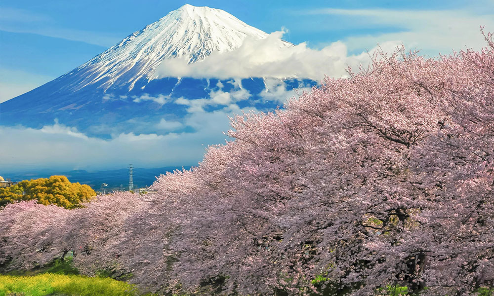 Núi Phú Sĩ Nhật Bản - Thái An Travel - 2