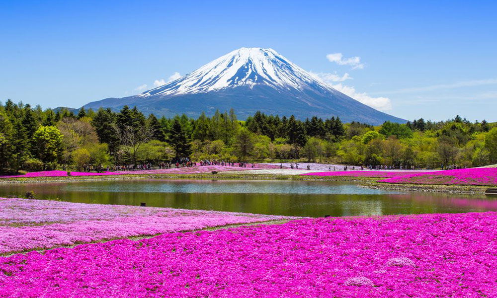 Núi Phú Sĩ Nhật Bản - Thái An Travel - 10