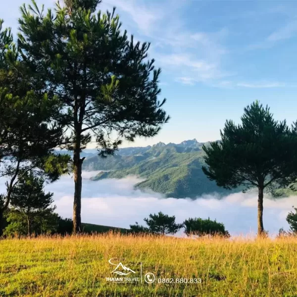 Tour Mộc Châu - Tà Xùa 3 ngày 2 đêm - Thái An Travel