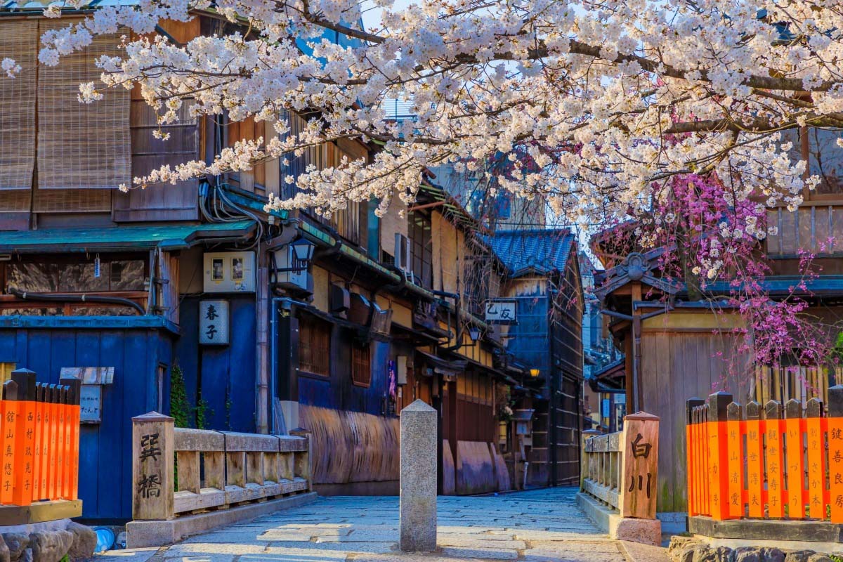 TOP các địa điểm ngắm hoa anh đào ở Nhật - Thái An Travel - 15
