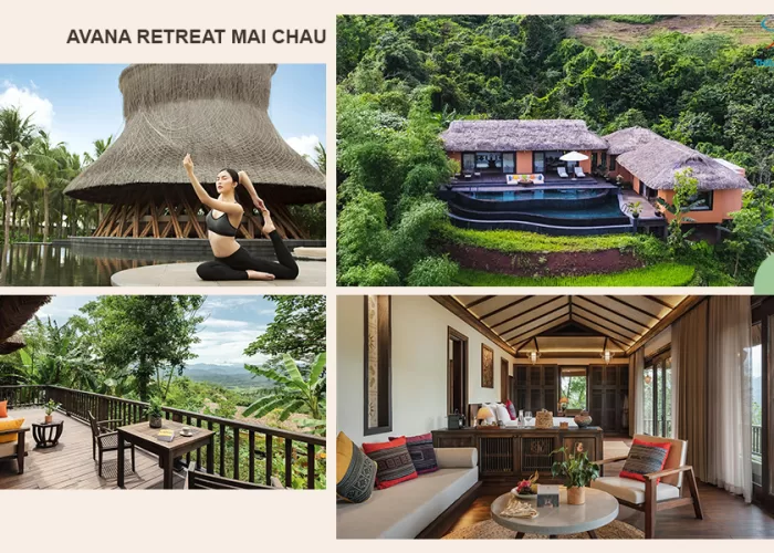 Review Avana Retreat Resort Mai Châu - Thái An Travel