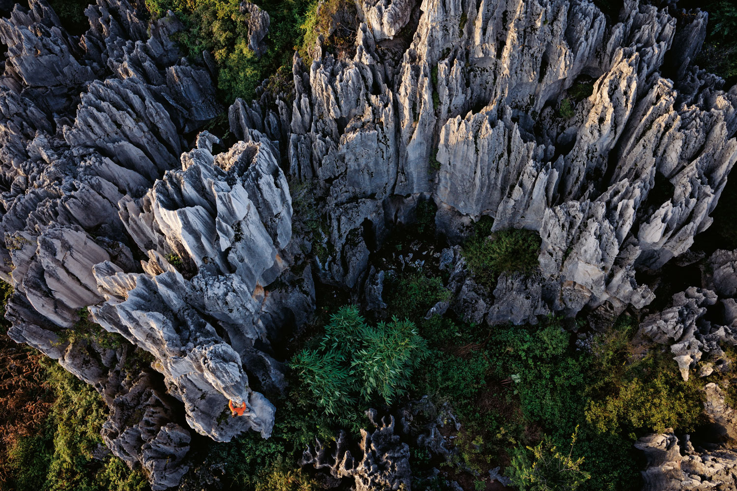 Rừng đá Thạch Lâm Trung Quốc - Thái An Travel - 3