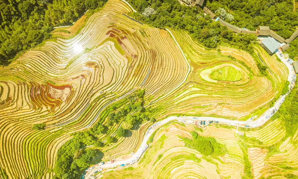 Ruộng bậc thang Long Tích - Thái An Travel