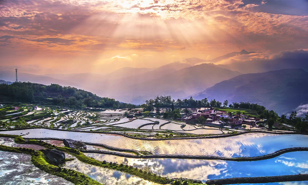 ruong-bac-thang-nguyen-duong-1 Ruộng bậc thang Nguyên Dương - Thái An Travel