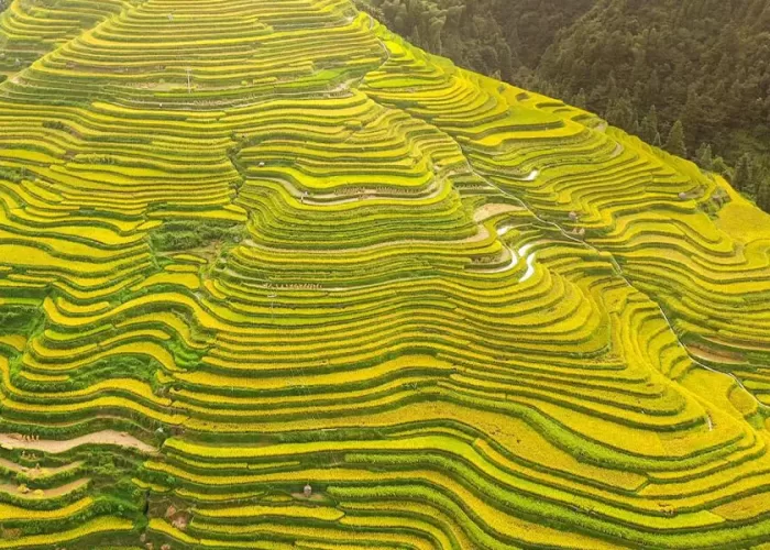 ruong-bac-thang-trung-quoc-jiabang-bi-an-may-va-suong-mu-o-quy-chau