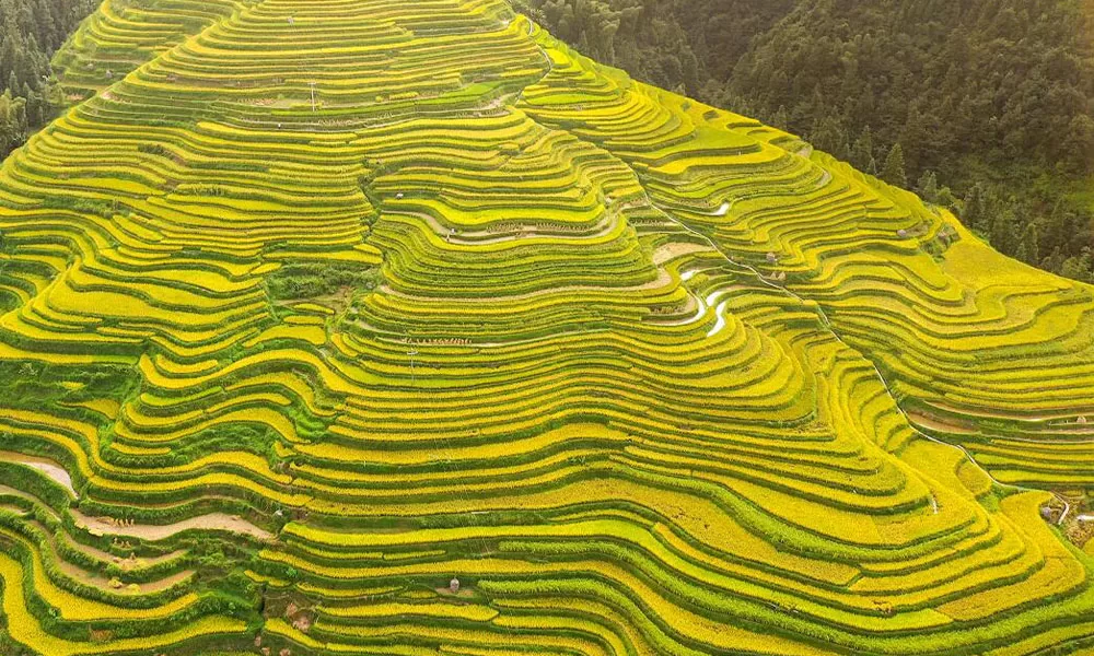 ruong-bac-thang-trung-quoc-jiabang-bi-an-may-va-suong-mu-o-quy-chau