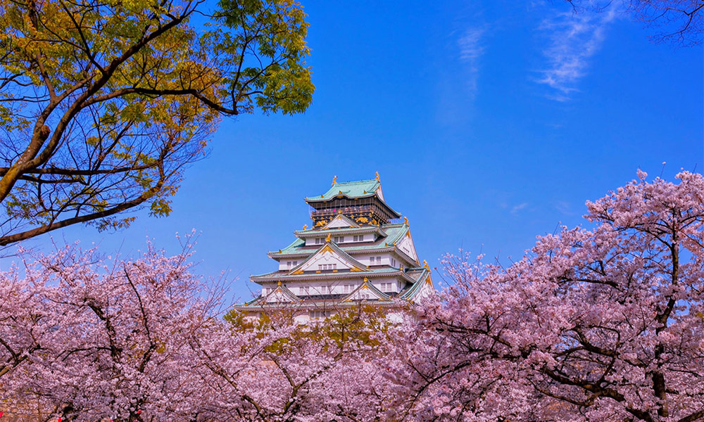 Lâu đài Osaka - Thái An Travel - 9