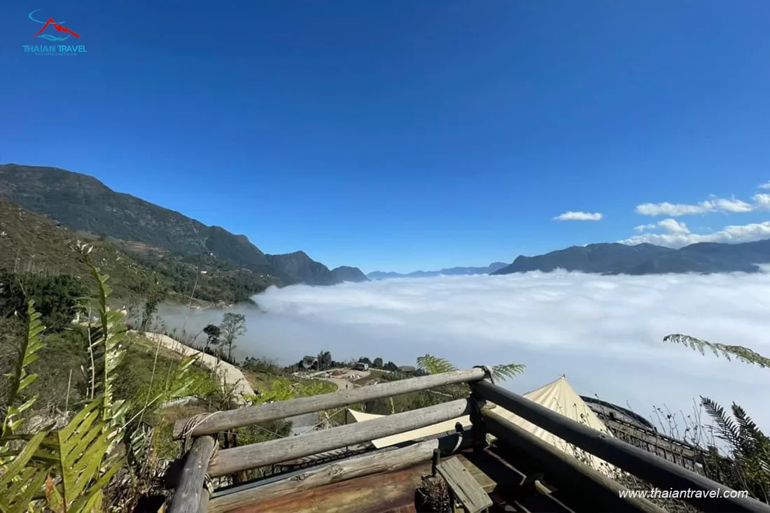 san-may-hau-thao-cafe-7 Săn mây Hầu Thào - Thái An Travel