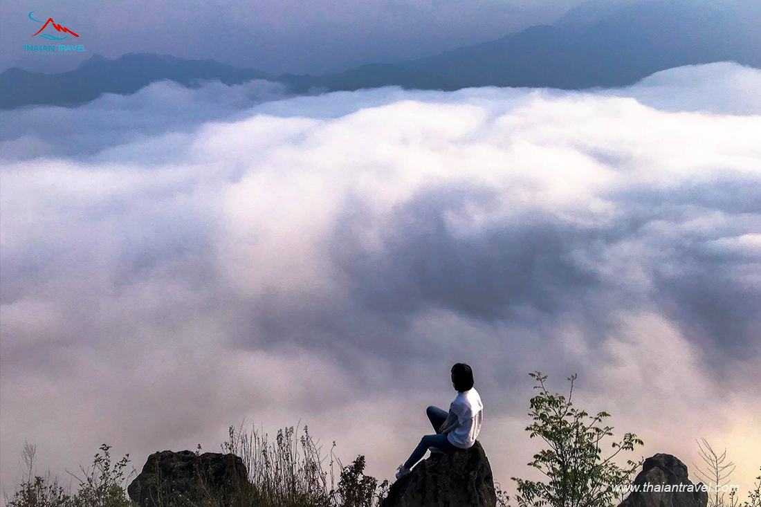 Săn mây ở Sapa - Thái An Travel 8