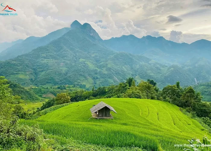 Du lịch Sapa - Thái An Travel